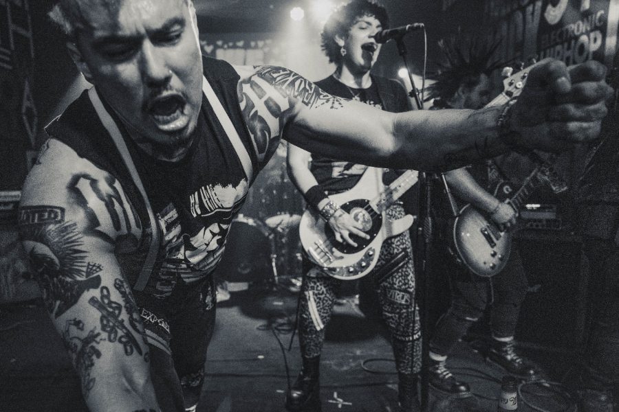 Dogface Bastards live, We Are The Punx, West Palm Beach